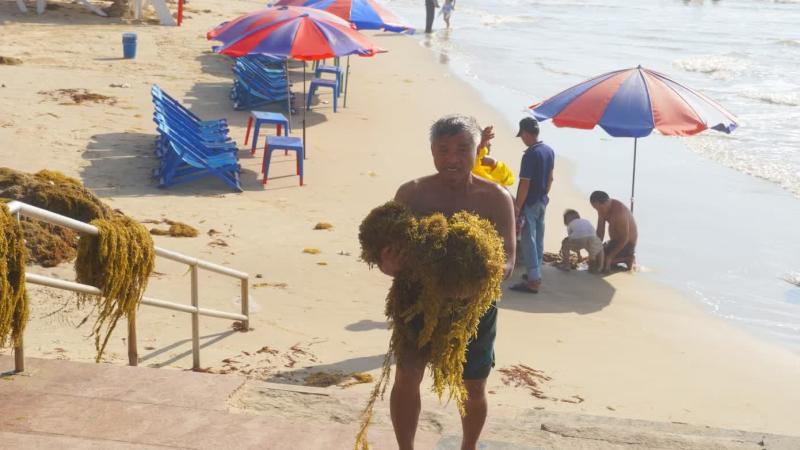 Vung Tau anh 5