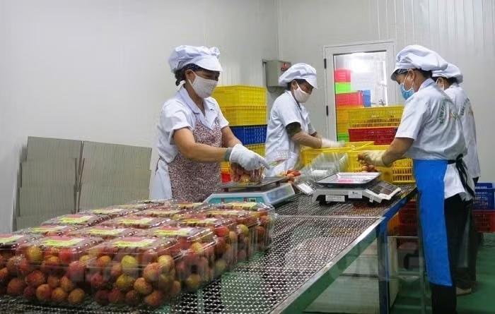 mua vai nam nay anh 2