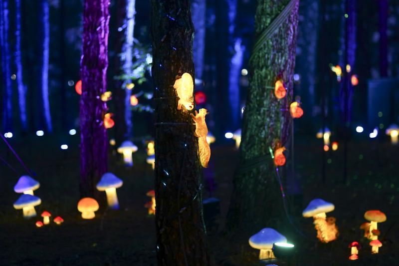 delight park anh 3