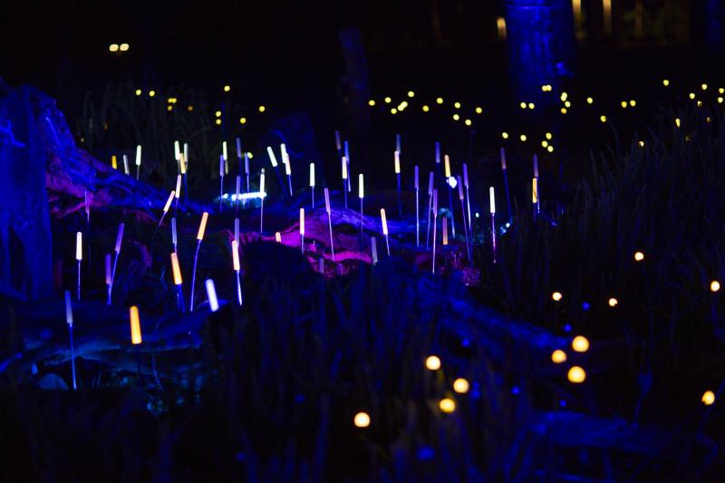delight park anh 10