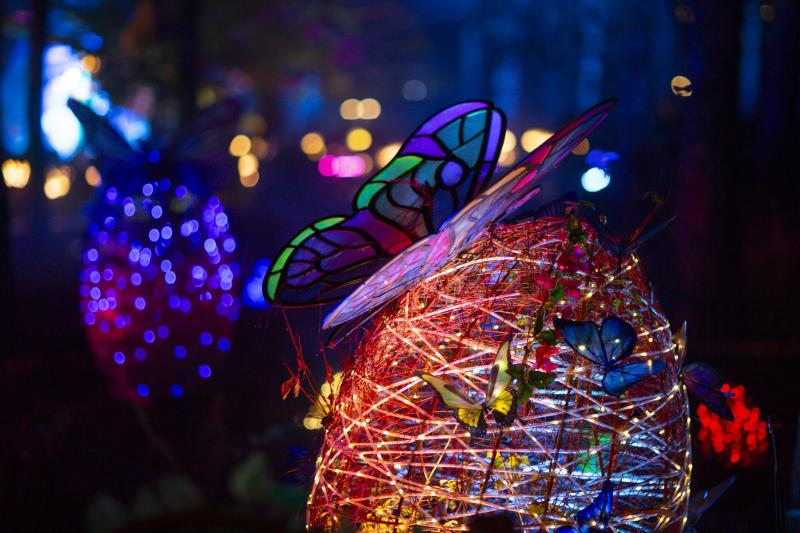delight park anh 13