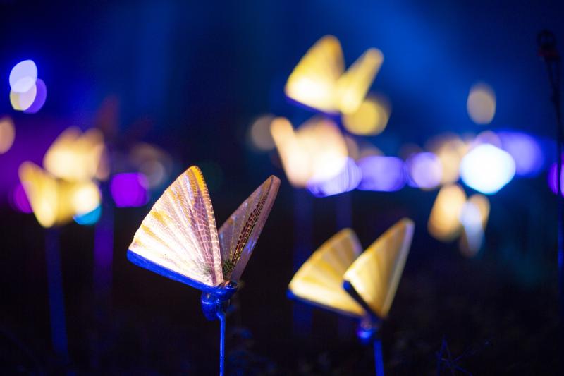delight park anh 14