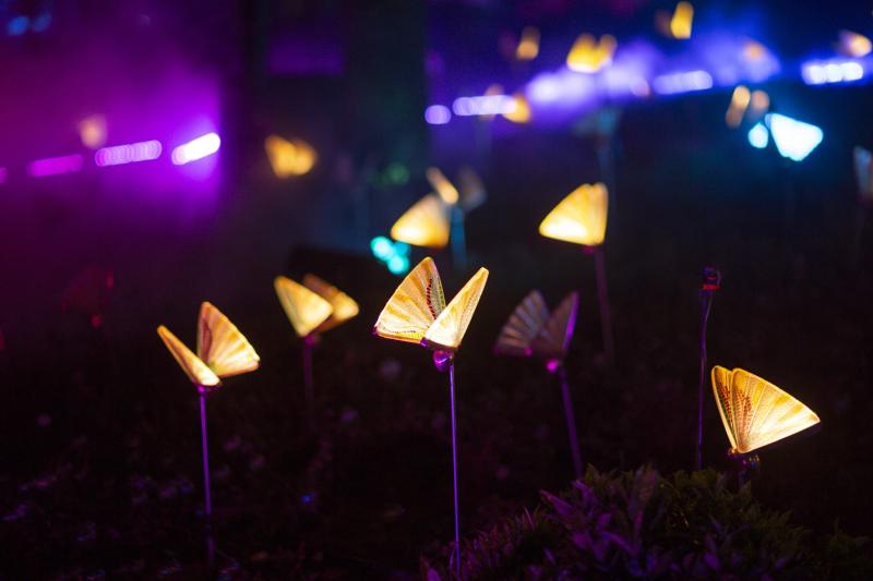 delight park anh 15