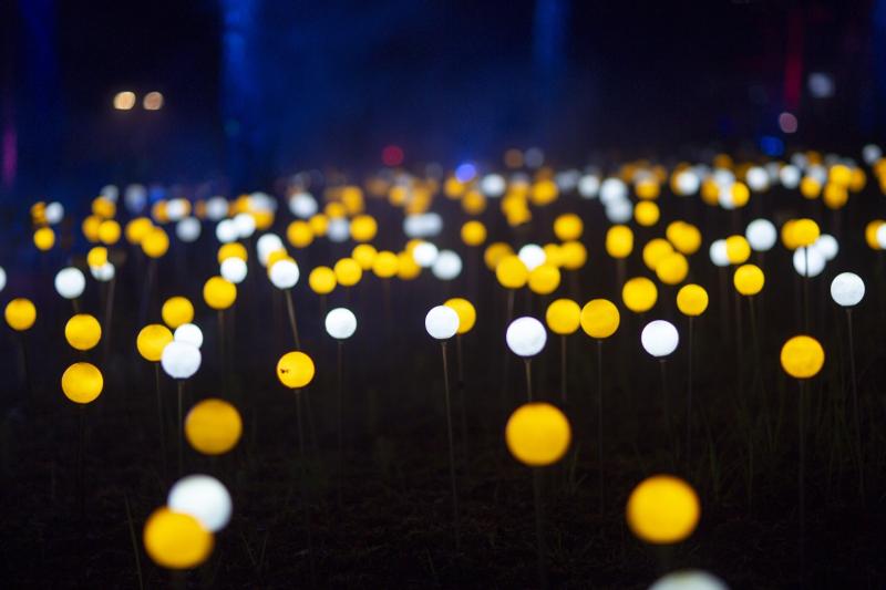 delight park anh 7