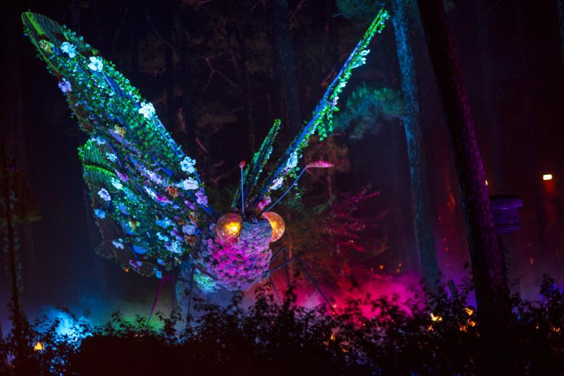 delight park anh 12