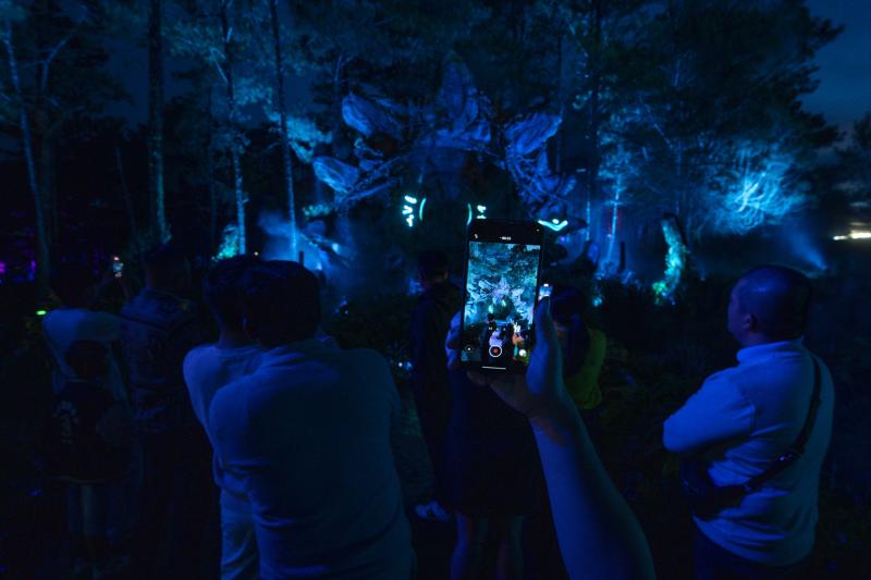 delight park anh 20