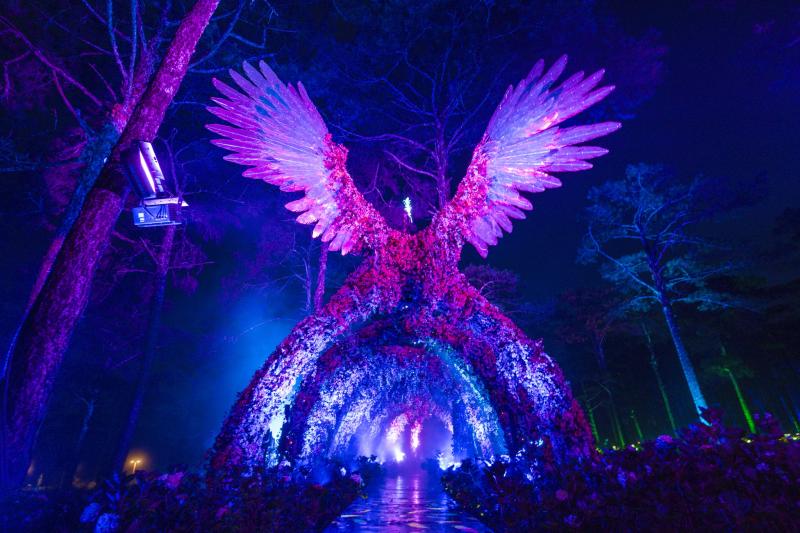 delight park anh 2