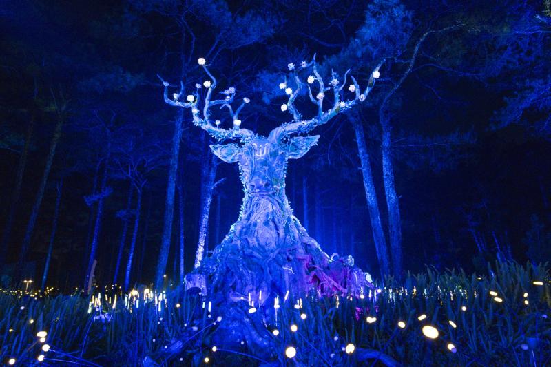 delight park anh 6