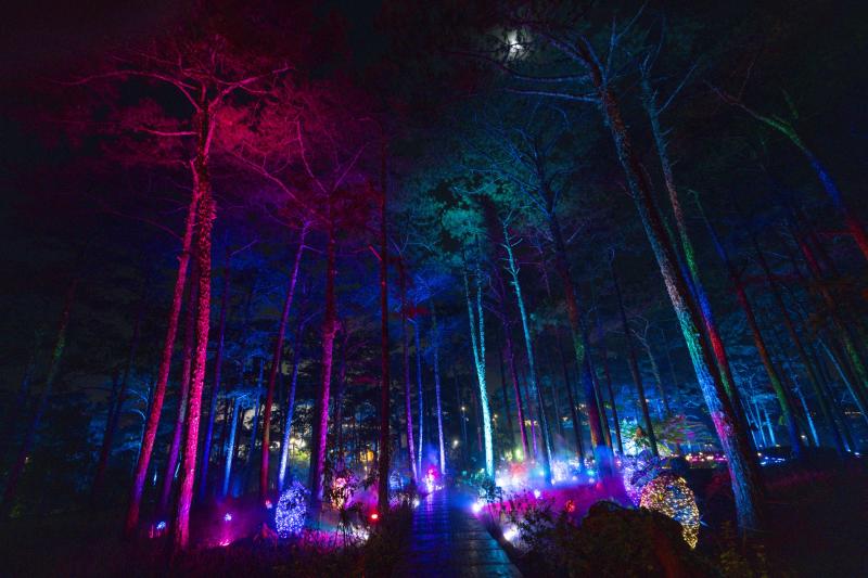 delight park anh 1