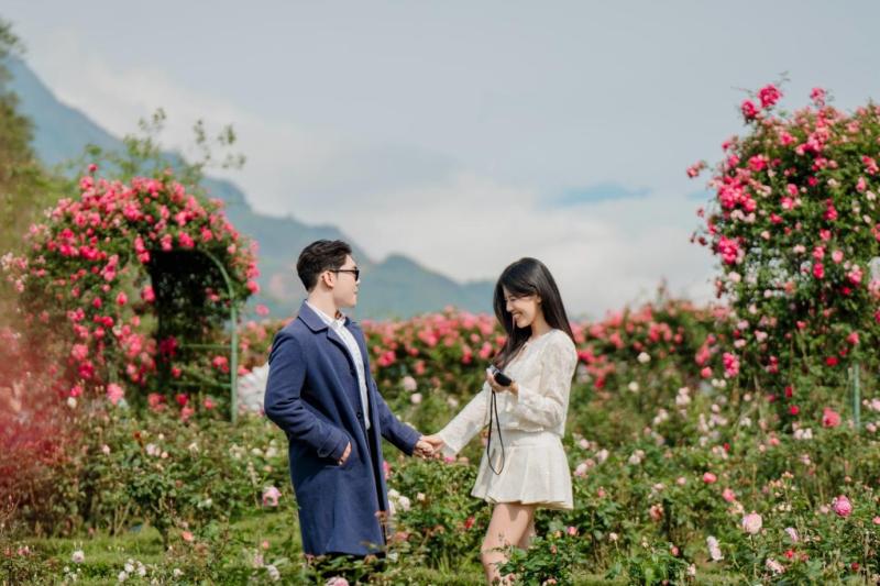 Fansipan anh 7