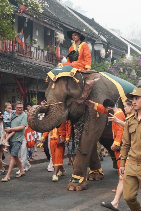 Lao anh 15