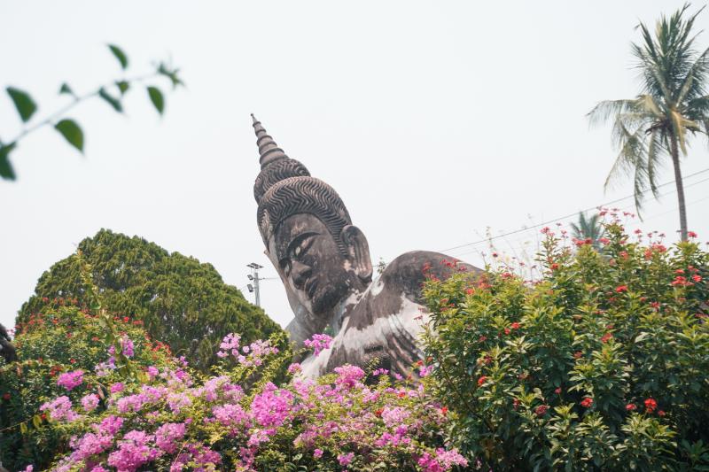 Lao anh 8
