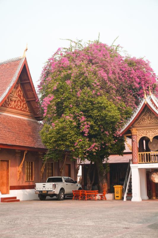 Lao anh 13