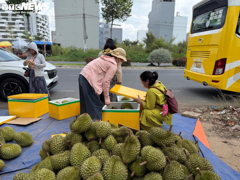Sau rieng anh 13