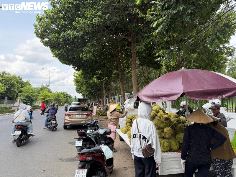 Sau rieng anh 20