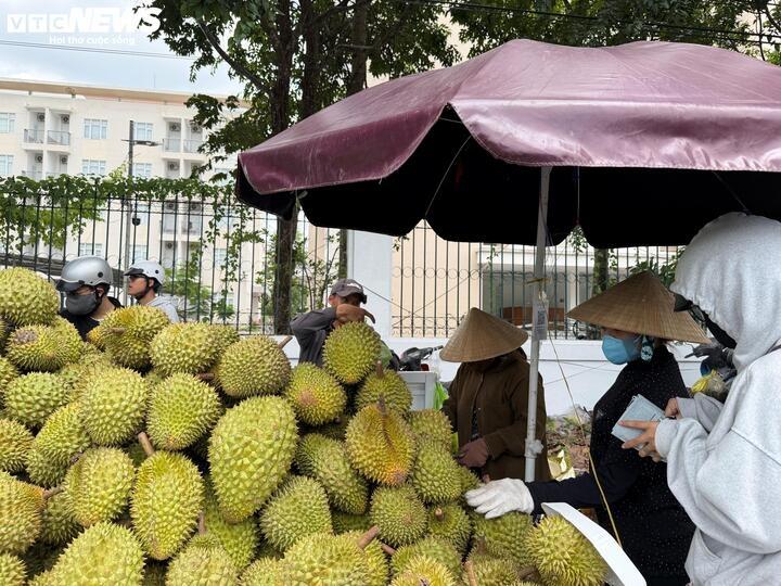 sau rieng anh 1