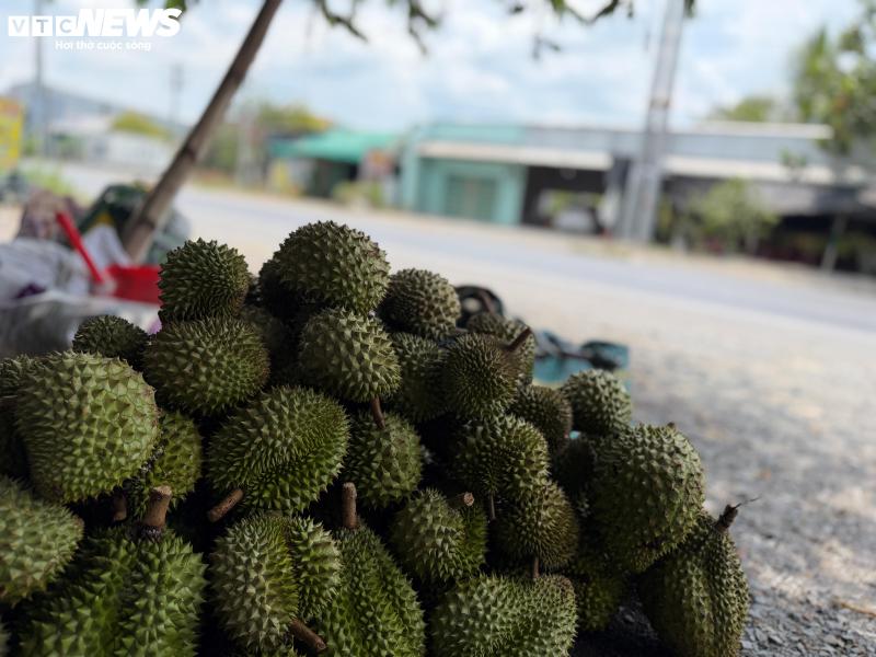 sau rieng anh 4