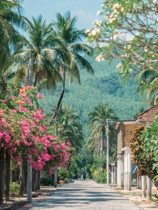 lang phong Quy Hoa anh 8