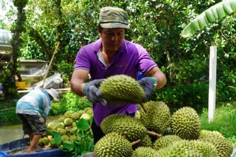 'giai cuu' sau rieng anh 2
