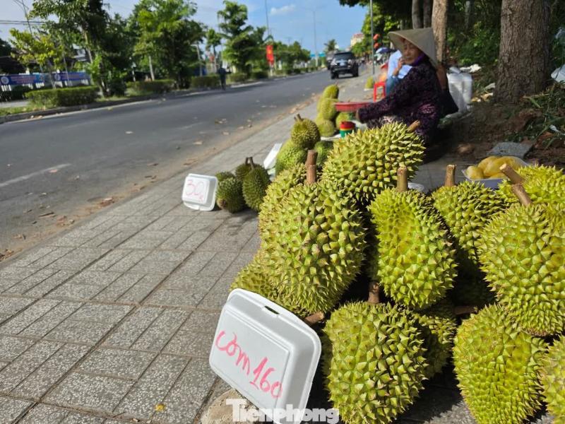 gia sau rieng anh 1