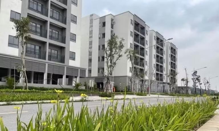 nha o xa hoi anh 1