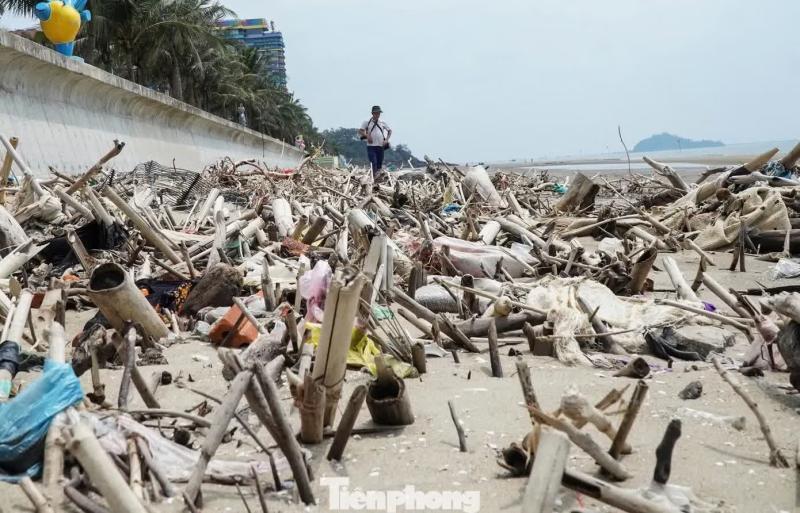 Thanh Hoa,  Hai Tien anh 3
