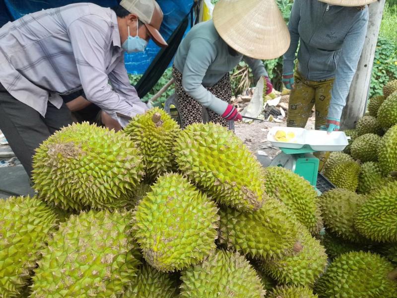 xet nghiem sau rieng anh 2