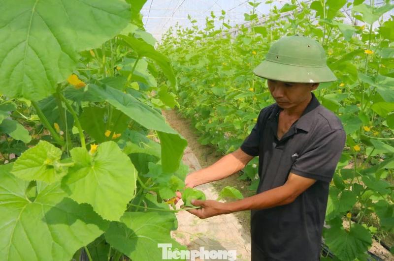 khoi nghiep anh 2