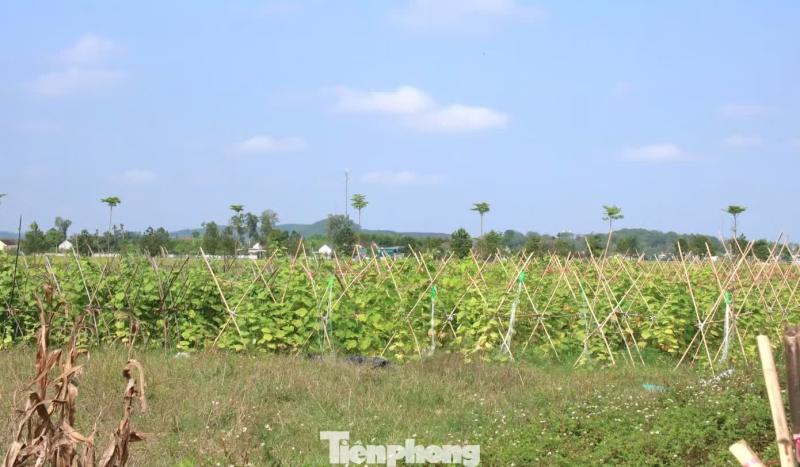 khởi nghiệp ảnh 3 khoi nghiep anh 3