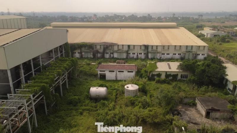 Ethanol Phu Tho anh 4