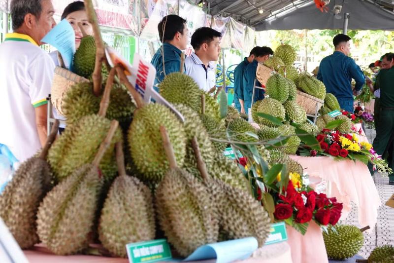 sau rieng anh 6