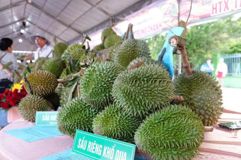 sau rieng anh 5