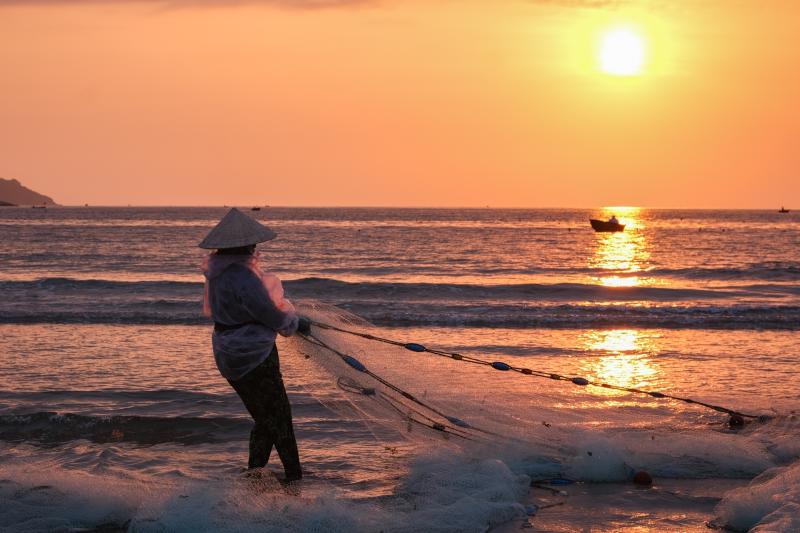 Đà Nẵng ảnh 2 Da Nang anh 2