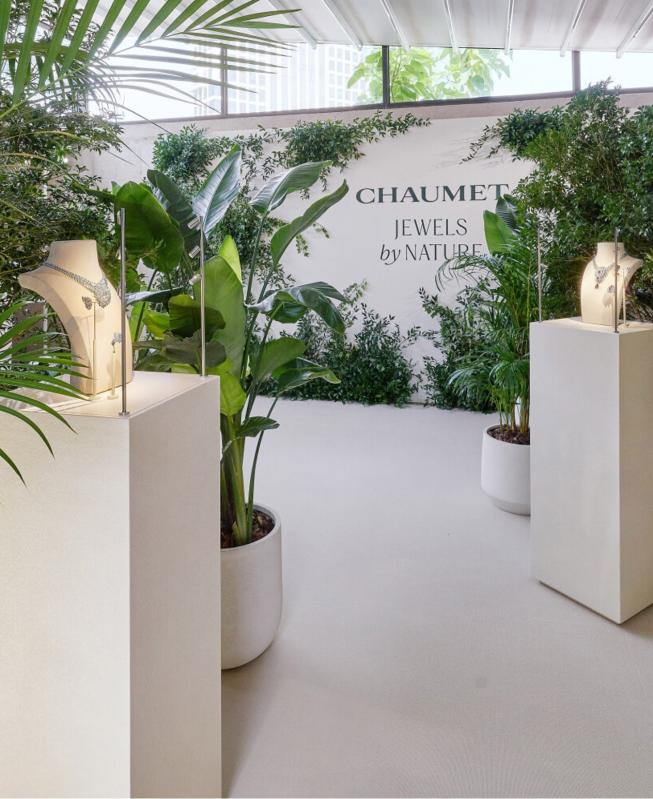 Chaumet anh 2