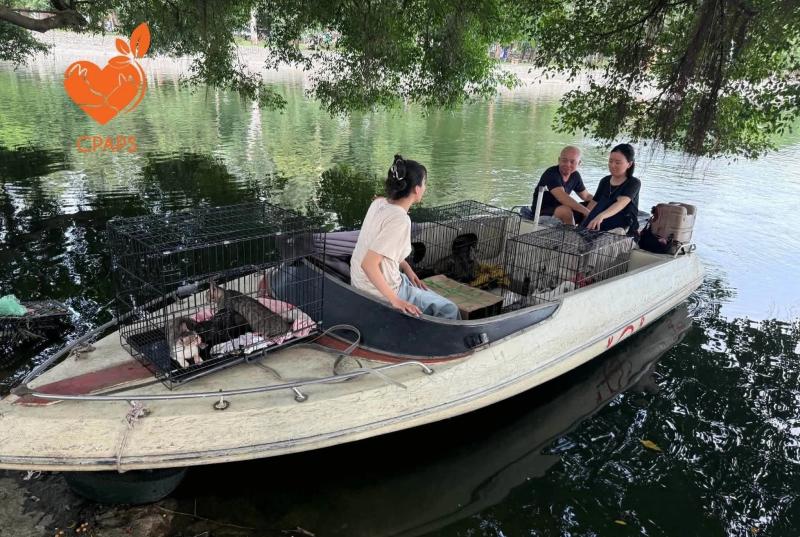 Cong vien Thong Nhat,  meo anh 1