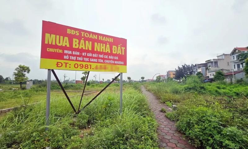 bat dong san anh 1