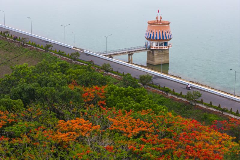 Dau Tieng anh 6
