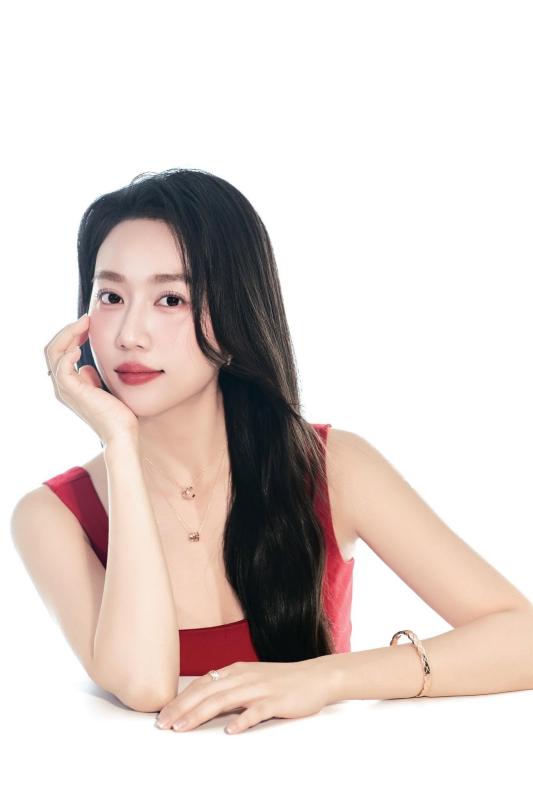 Huỳnh Hồng Loan ảnh 4 Huynh Hong Loan anh 4