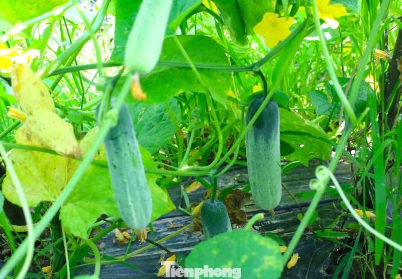 khởi nghiệp ảnh 9 khoi nghiep anh 9