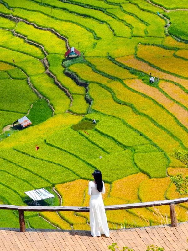 lua chin Mang Den anh 9
