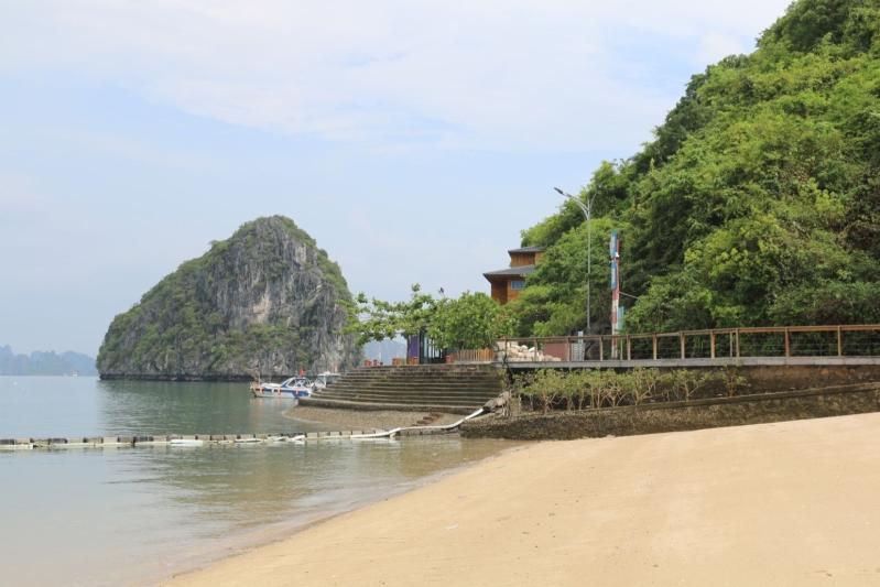 bai bien,  Soi Sim anh 1