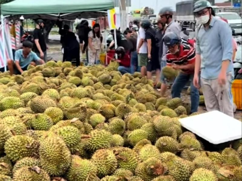 Sau rieng anh 4