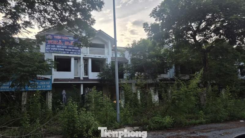 siêu đô thị ảnh 12