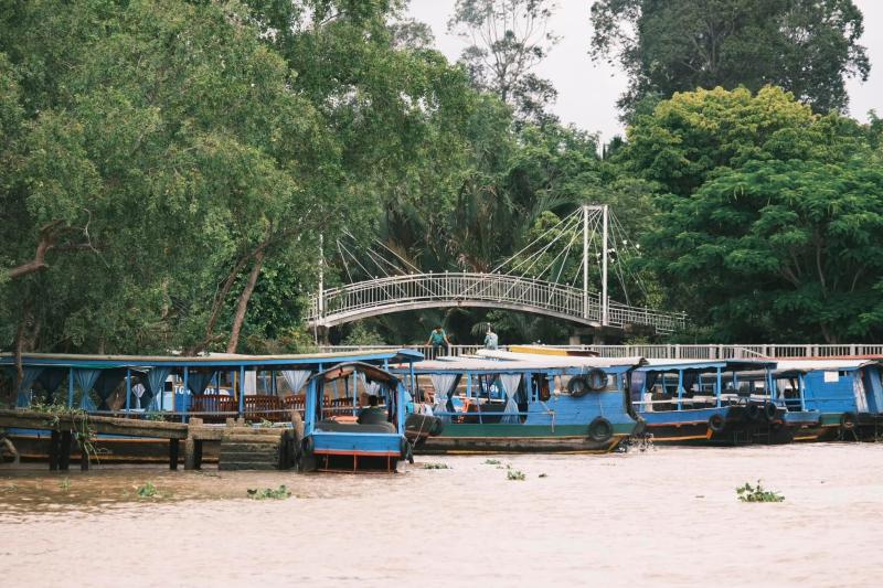 Đồng Tháp ảnh 7