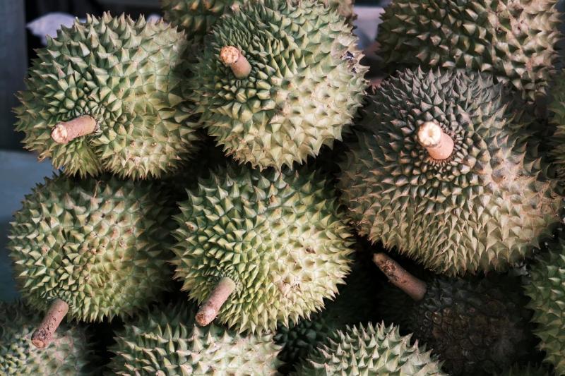 Đồng Tháp ảnh 10