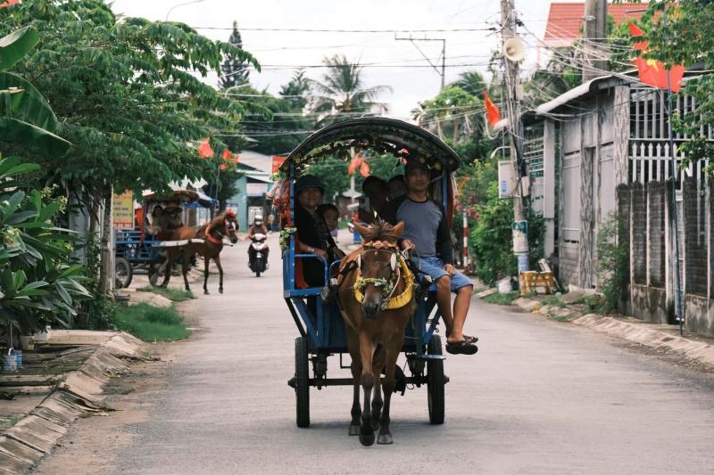 Đồng Tháp ảnh 14