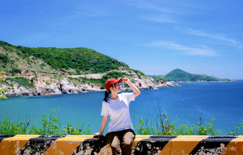 Việt Nam ảnh 2