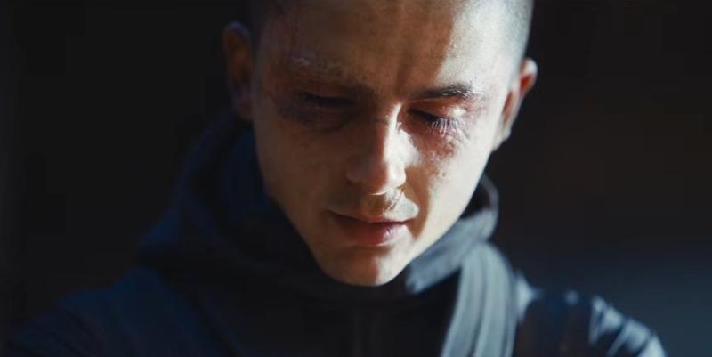 Timothée Chalamet ảnh 2
