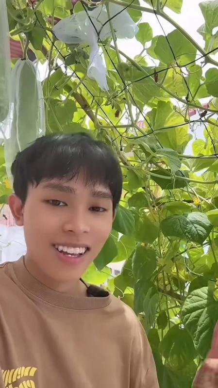 Hồ Văn Cường ảnh 2