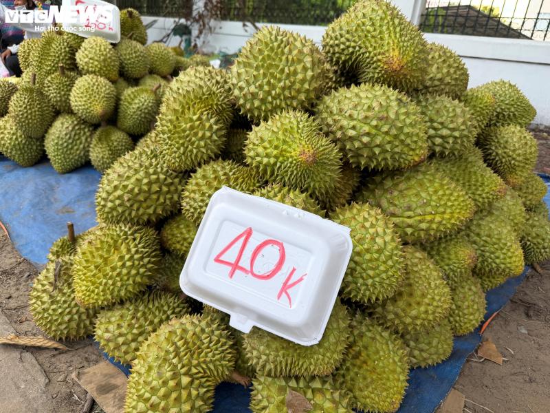 sầu riêng ảnh 1